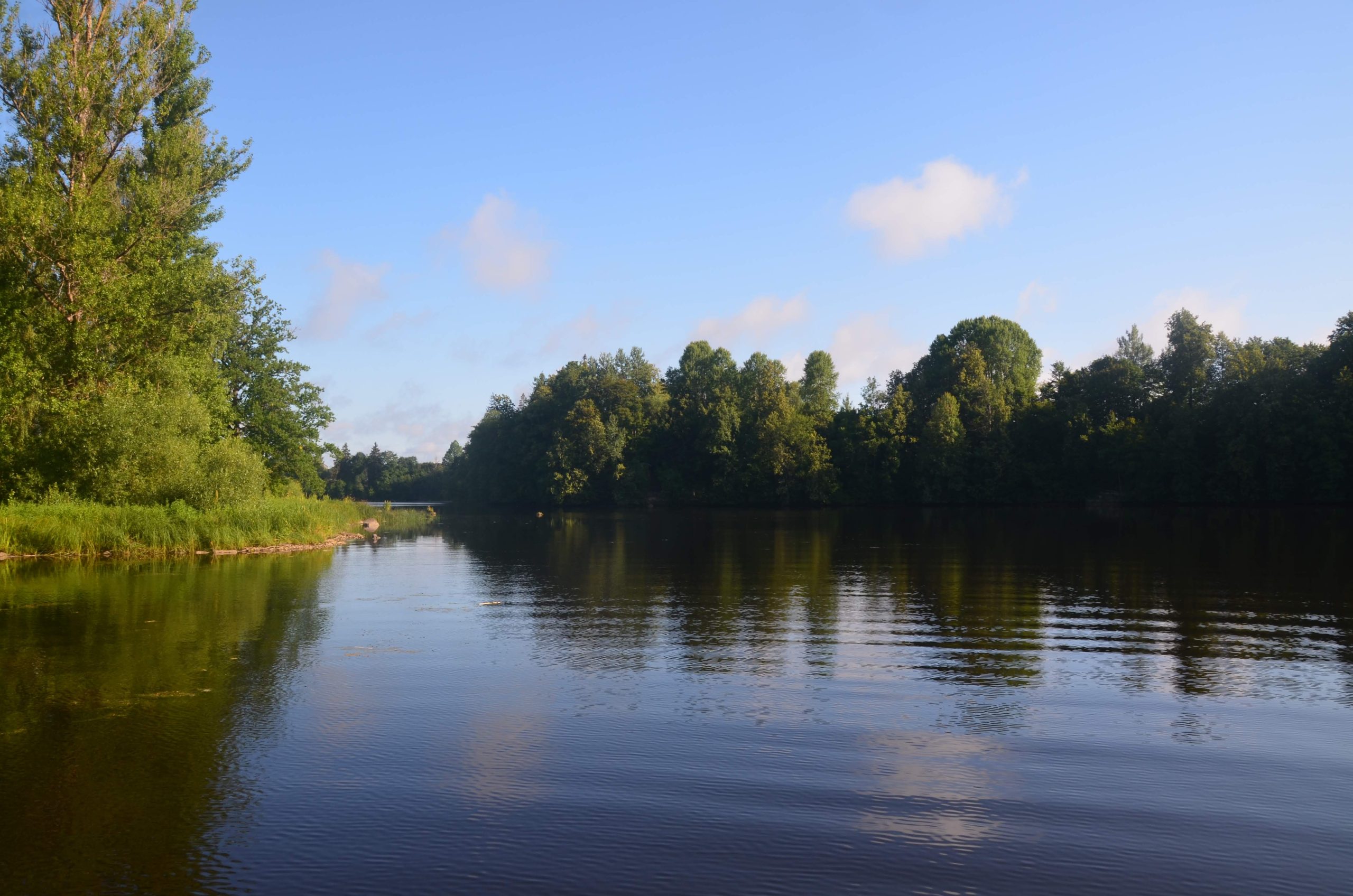 2019 Salidojums pie Kokneses